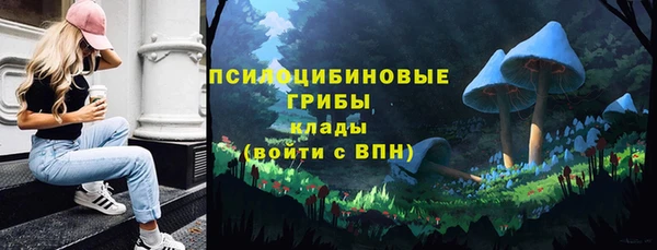не бодяженный Алзамай