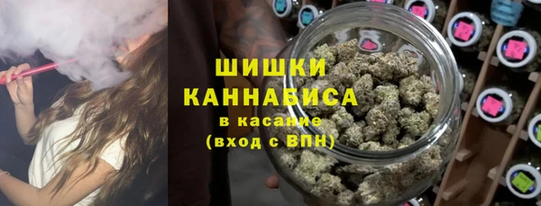 спайс Алексин