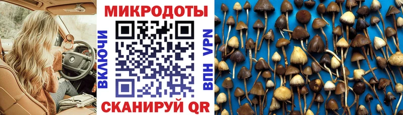 Псилоцибиновые грибы ЛСД  Дно 